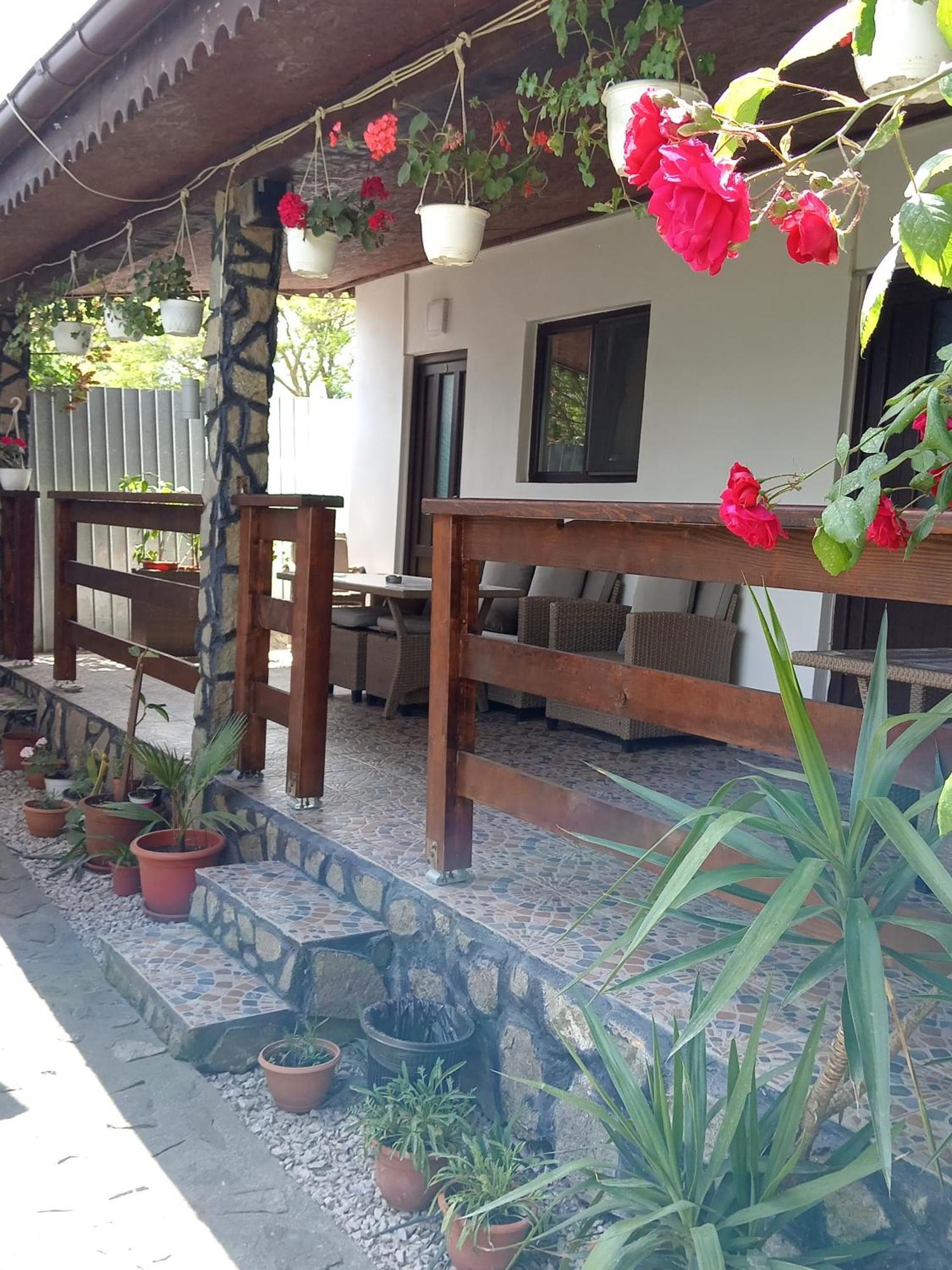 Casa Chitu Guest House Murighiol Luaran gambar